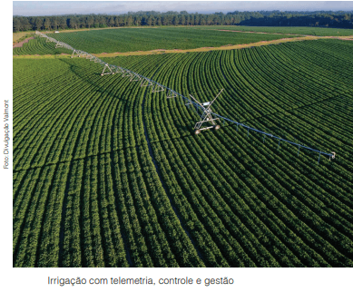 Produto fruto da irrigação, hoje gerenciada em tempo real, é mais valorizado  